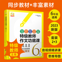 丁丁老师教作文系列--丁丁老师教作文系列--特级教师作文功底课  小学6年级
