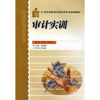 审计实训(21世纪高职高专财经类专业规划教材)