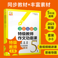 丁丁老师教作文系列--特级教师作文功底课  小学5年级