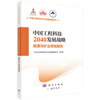 中国工程科技2040发展战略.能源与矿业领域报告