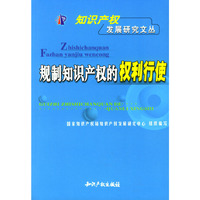 规制知识产权的权利行使