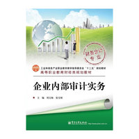 企业内部审计实务
