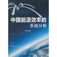 中国能源效率的系统分析