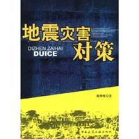 地震灾害对策