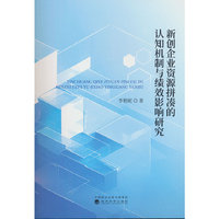 新创企业资源拼凑的认知机制与绩效影响研究