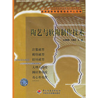 陶艺与软陶制作技术中小学劳动与技术教育新课程教学系列片(VCD)