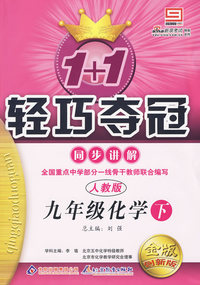 1+1轻巧夺冠同步讲解：九年级化学·下（人教版）（附答案）（金版/创新版）