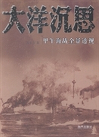 大洋沉思：甲午海战全景透视