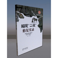 昭陵“二骏”修复实录