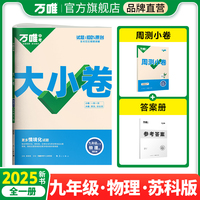 2025大小卷九年级-物理SK（全一册)