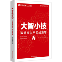 大智小技VI：数据库生产实战漫笔