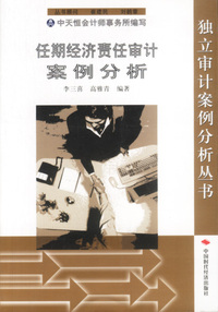 任期经济责任审计案例分析