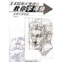 石膏头像素描/美术院校正规训练教你学得快(美术院校正规训练教你学得快)