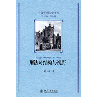 刑法的结构与视野