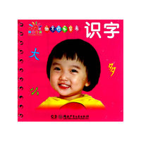 撕不烂口袋书——识字