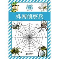 蛛网侦察兵