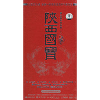 国宝背后的故事:陕西国宝(DVD)