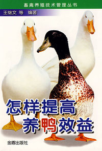 怎样提高养鸭效益