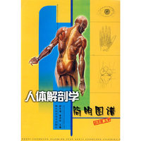 人体解剖学简明图谱