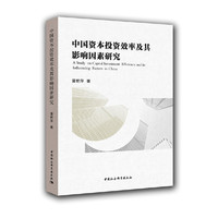 中国资本投资效率及其影响因素研究