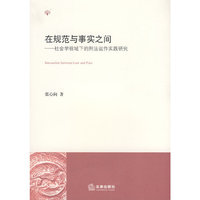 在规范与事实之间-社会学视域下的刑法运作实践研究