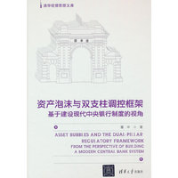 资产泡沫与双支柱调控框架