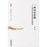 一种历史实践——近现代中西法概念理论比较研究