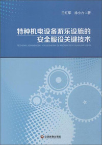 特种机电设备游乐设施的 安全服务役关键技术
