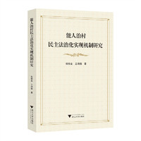 能人治村民主法治化实现机制研究