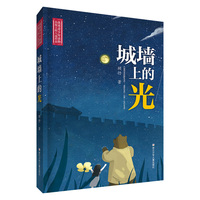 城墙上的光精编珍藏版