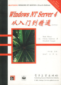 WINDOWS NT SERVER 4入门到精通(第四版)