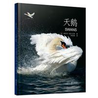动物小百科：天鹅（平装本）