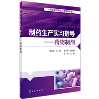 药学类应用型人才培养丛书--制药生产实习指导——药物制剂(何志成 )