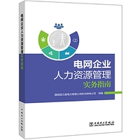 电网企业人力资源管理实务指南