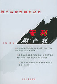 专利财产权——财产权案例精析丛书