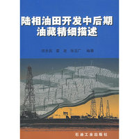 陆相油田开发中后期油藏精细描述