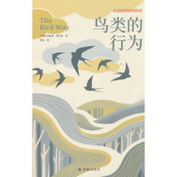 鸟类的行为