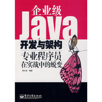 企业级Java开发与架构-专业程序员在实战中的蜕变