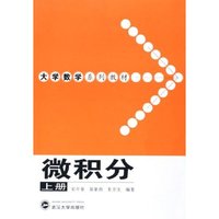 微积分(上大学数学系列教材)