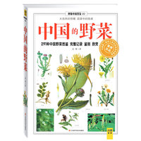 中国的野菜