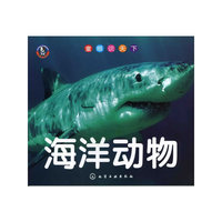 海洋动物-童眼识天下