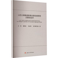山区公路隧道智慧运营低碳照明及管控技术
