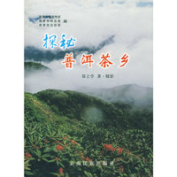 探秘普洱茶乡