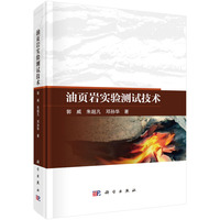 油页岩实验测试技术9787030837110郭威科学出版社
