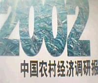 中国农村经济调研报告 2002