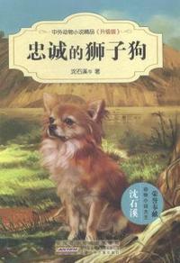 忠诚的狮子狗-(升级版)