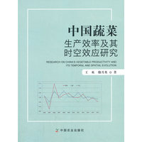 中国蔬菜生产效率及其时空效应研究