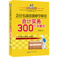 会计实战技能即学即用:会计实务300个关键点