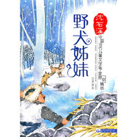 野犬姊妹/中国当代儿童文学名家原创精品伴读本
