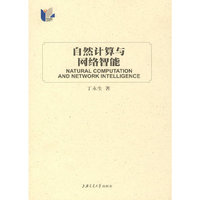 自然计算与网络智能